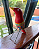 Passarinho Vermelho (12cm) - Imagem 1