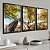 Trio de Quadro  Árvore Paisagem - Imagem 2