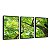 Quadro Arvores Verdes - Imagem 2