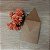 Envelope Vertical de Bico em KRAFT - Imagem 2