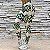 Calça legging fitness empina bumbum Navajo - Imagem 3
