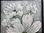 Quadro Pintura Tela floral branco flor painéis 5226 - Imagem 5