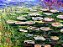 Quadro Pintura Tela pond lotus countryside sob modern 5371 - Imagem 4