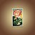 Quadro Decorativo Flor de Lótus Vermelha e Folhas Verdes Botânica 6155 - Imagem 5