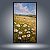 Quadro Decorativo Paisagem Campo de Margaridas e Céu Azul Impressionista 6161 - Imagem 2