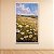 Quadro Decorativo Paisagem Campo de Margaridas e Céu Azul Impressionista 6161 - Imagem 4