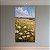 Quadro Decorativo Paisagem Campo de Margaridas e Céu Azul Impressionista 6161 - Imagem 5