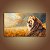 Quadro Decorativo Leão Majestic na Savana Pôr do Sol e Capim Dourado 6192 - Imagem 5