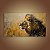 Quadro Decorativo Leão Majestoso Imponente Na Savana Tons Dourados 6190 - Imagem 4