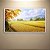 Quadro Decorativo Paisagem Colheita Dourada Outono e Montanhas 6202 - Imagem 4