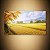 Quadro Decorativo Paisagem Colheita Dourada Outono e Montanhas 6202 - Imagem 3