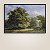 Quadro Decorativo Paisagem Floresta com Árvore Gigante e Carroça 6248 - Imagem 1