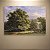 Quadro Decorativo Paisagem Floresta com Árvore Gigante e Carroça 6248 - Imagem 5