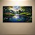 Quadro Decorativo Paisagem Rio na Floresta Luz do Sol e Lírio d'Água 6267 - Imagem 4