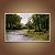 Quadro Decorativo Paisagem Rio na Floresta Verde e Montanha ao Sol 6266 - Imagem 4