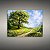 Quadro Decorativo Paisagem Árvore Gigante Caminho Florido e Céu Ensolarado 6234 - Imagem 2