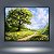 Quadro Decorativo Paisagem Árvore Gigante Caminho Florido e Céu Ensolarado 6234 - Imagem 5