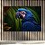 Quadro Decorativo Arara Azul Tropical Fundo Botânico Estilo Realista 6329 - Imagem 3
