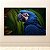 Quadro Decorativo Arara Azul Tropical Fundo Botânico Estilo Realista 6329 - Imagem 2