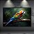 Quadro Decorativo Arara Colorida na Floresta Amazônica 6307 - Imagem 3
