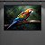 Quadro Decorativo Arara Colorida na Floresta Amazônica 6307 - Imagem 4