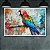 Quadro Decorativo Arara Vermelha Arte Abstrata Moderna Pintura Colorida 6319 - Imagem 5