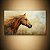 Quadro Decorativo Cavalo Alazão com Crina ao Vento em Campo Dourado Pintura 6308 - Imagem 1