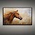 Quadro Decorativo Cavalo Alazão com Crina ao Vento em Campo Dourado Pintura 6308 - Imagem 2