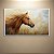 Quadro Decorativo Cavalo Alazão com Crina ao Vento em Campo Dourado Pintura 6308 - Imagem 3