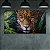 Quadro Decorativo Onça Pintada na Selva e Folhagens Verdes 6333 - Imagem 4