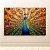 Quadro Decorativo Pavão Real com Cauda Aberta Estilo Abstrato Dourado 6320 - Imagem 2
