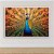 Quadro Decorativo Pavão Real com Cauda Aberta Estilo Abstrato Dourado 6320 - Imagem 5