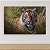 Quadro Decorativo Tigre de Bengala na Natureza Arte Realista Selvagem 6327 - Imagem 3