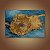 Quadro Decorativo Florais Girassóis Deitados Van Gogh 6509 - Imagem 3