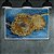 Quadro Decorativo Florais Girassóis Deitados Van Gogh 6509 - Imagem 4