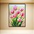 Quadro Decorativo Tulipas Rosa Bouquet e Folhagens Fundo Dourado 6454 - Imagem 1
