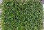 Grama Sintética Soft Grass com Fios Palha 14mm - Imagem 1