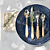 Faqueiro 24 Peças Mother Pearl Aço Inox Cabo Acrílico Beje Perolado - Lyor - Imagem 3