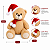 Boneco Urso de Pelúcia Sentado 20cm Com Gorro e Cachecol Decoração Natalina - Imagem 5