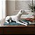 Escultura Cão Galgo Inglês Resina com Laca Branca Cristais Na Coleira Saldão - Imagem 2