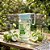 Jarra de Vidro 1L Para Sucos Com Espremedor de Frutas e Tampa Estampas - Imagem 10