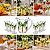 Jogo Com Jarra 1,3L e 6 Taças 340ml Palm Hand Painting Cristal - Imagem 3