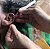 4 sessões de Auricoloterapia - Imagem 2