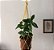 Suporte para plantas macramê - Imagem 1