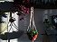 Suporte para plantas Macramê - Imagem 4