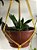 Macramê Suporte para plantas tingimento açafrão da terra - Imagem 4
