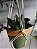 Macramê Suporte para plantas -algodão cru - Imagem 5