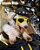Capacete de Dog ou Cat - Imagem 5