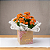 Kalandiva Laranja Premium – Flor da Fortuna e Felicidade - Imagem 3