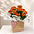 Kalandiva Laranja Premium – Flor da Fortuna e Felicidade - Imagem 2